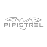 pipistrel 1